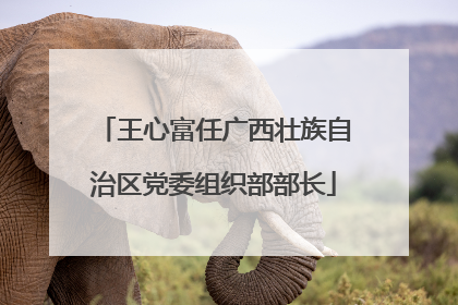 王心富任广西壮族自治区党委组织部部长
