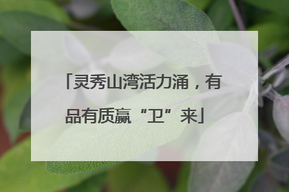 灵秀山湾活力涌，有品有质赢“卫”来