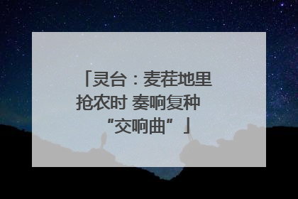 灵台：麦茬地里抢农时 奏响复种“交响曲”