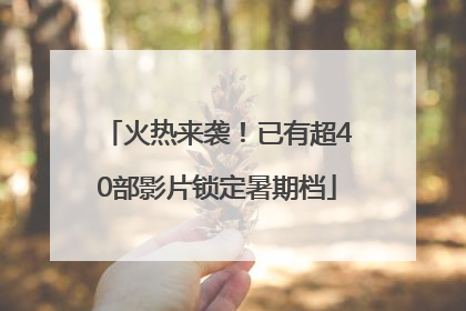 火热来袭！已有超40部影片锁定暑期档