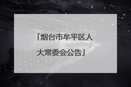 烟台市牟平区人大常委会公告