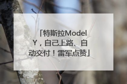 特斯拉Model Y，自己上路、自动交付！雷军点赞