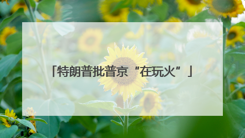 特朗普批普京“在玩火”