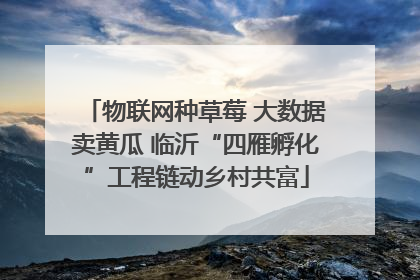 物联网种草莓 大数据卖黄瓜 临沂“四雁孵化”工程链动乡村共富