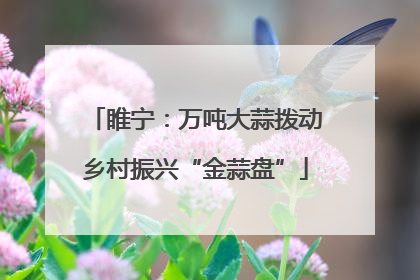 睢宁：万吨大蒜拨动乡村振兴“金蒜盘”