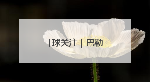 球关注｜巴勒斯坦代表掩面痛哭，加沙的真实现状让人痛心