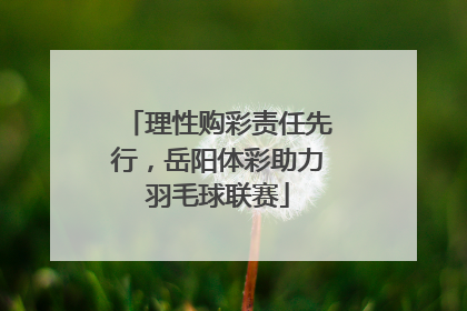 理性购彩责任先行，岳阳体彩助力羽毛球联赛
