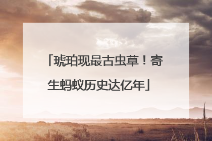 琥珀现最古虫草！寄生蚂蚁历史达亿年