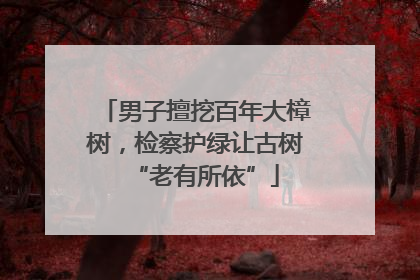 男子擅挖百年大樟树，检察护绿让古树“老有所依”