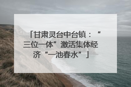 甘肃灵台中台镇：“三位一体”激活集体经济“一池春水”