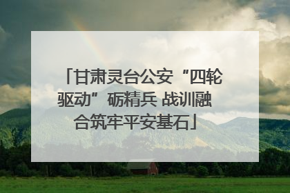 甘肃灵台公安“四轮驱动”砺精兵 战训融合筑牢平安基石