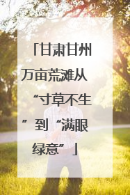 甘肃甘州万亩荒滩从“寸草不生”到“满眼绿意”