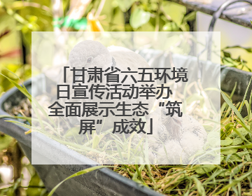 甘肃省六五环境日宣传活动举办 全面展示生态“筑屏”成效
