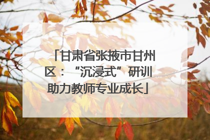 甘肃省张掖市甘州区：“沉浸式”研训助力教师专业成长