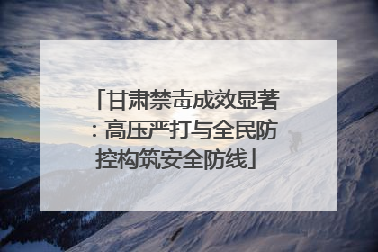 甘肃禁毒成效显著：高压严打与全民防控构筑安全防线