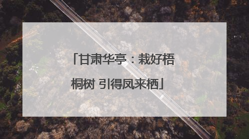 甘肃华亭：栽好梧桐树 引得凤来栖