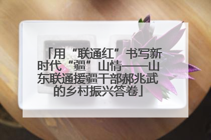 用“联通红”书写新时代“疆”山情——山东联通援疆干部郝兆武的乡村振兴答卷