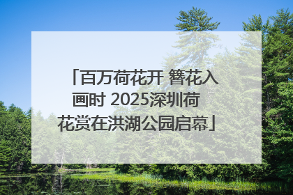 百万荷花开 簪花入画时 2025深圳荷花赏在洪湖公园启幕