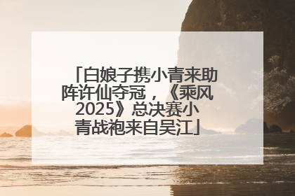 白娘子携小青来助阵许仙夺冠，《乘风2025》总决赛小青战袍来自吴江