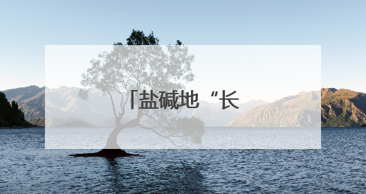 盐碱地“长”出高产粮