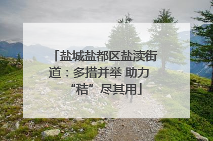 盐城盐都区盐渎街道：多措并举 助力“秸”尽其用