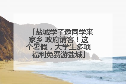 盐城学子邀同学来家乡 政府请客！这个暑假，大学生多项福利免费游盐城