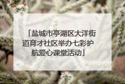 盐城市亭湖区大洋街道育才社区举办七彩护航爱心课堂活动