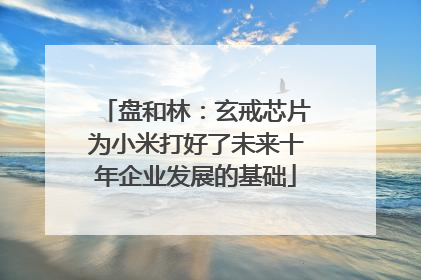 盘和林：玄戒芯片为小米打好了未来十年企业发展的基础