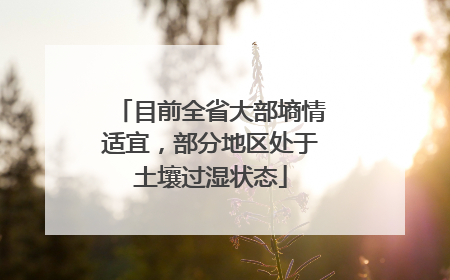 目前全省大部墒情适宜，部分地区处于土壤过湿状态