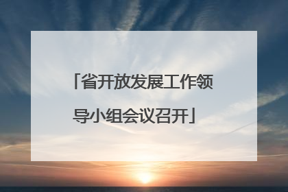 省开放发展工作领导小组会议召开