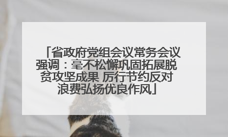 省政府党组会议常务会议强调：毫不松懈巩固拓展脱贫攻坚成果 厉行节约反对浪费弘扬优良作风