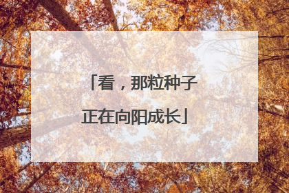 看，那粒种子正在向阳成长
