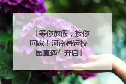 等你放假，接你回家！河南暑运校园直通车开启