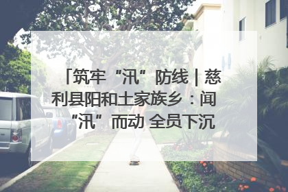 筑牢“汛”防线｜慈利县阳和土家族乡：闻“汛”而动 全员下沉筑牢防汛“安全堤”