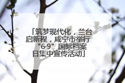 筑梦现代化，兰台启新程，咸宁市举行“6·9”国际档案日集中宣传活动