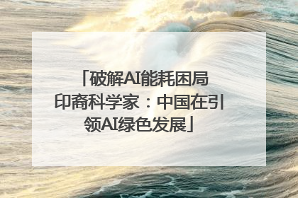 破解AI能耗困局 印裔科学家：中国在引领AI绿色发展