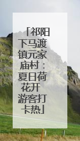 祁阳下马渡镇元家庙村：夏日荷花开 游客打卡热