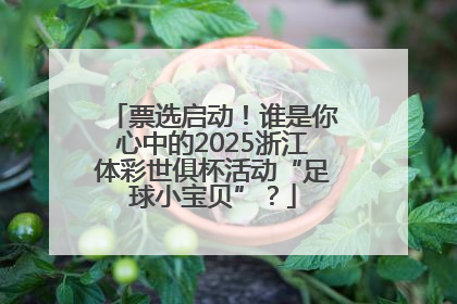 票选启动！谁是你心中的2025浙江体彩世俱杯活动“足球小宝贝”？