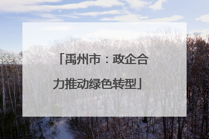 禹州市：政企合力推动绿色转型