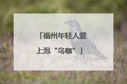 福州年轻人爱上泡“鸟咖”