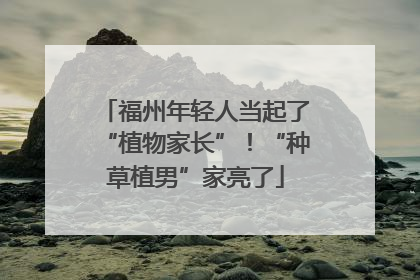福州年轻人当起了“植物家长”！“种草植男”家亮了