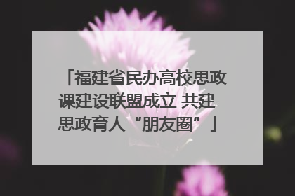 福建省民办高校思政课建设联盟成立 共建思政育人“朋友圈”