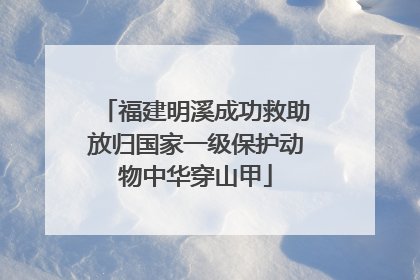 福建明溪成功救助放归国家一级保护动物中华穿山甲