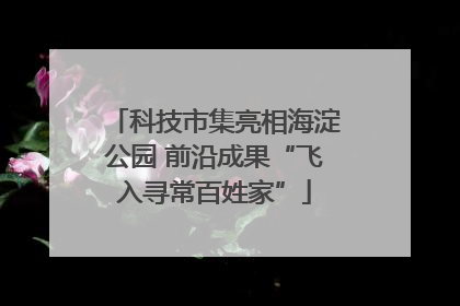 科技市集亮相海淀公园 前沿成果“飞入寻常百姓家”