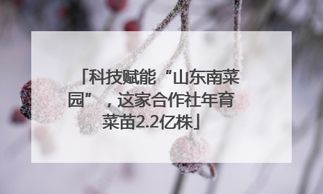 科技赋能“山东南菜园”，这家合作社年育菜苗2.2亿株