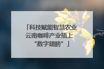 科技赋能智慧农业 云南咖啡产业插上“数字翅膀”