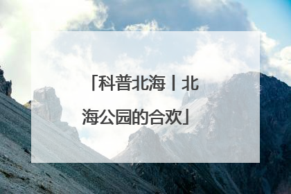 科普北海丨北海公园的合欢