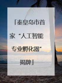 秦皇岛市首家“人工智能专业孵化器”揭牌