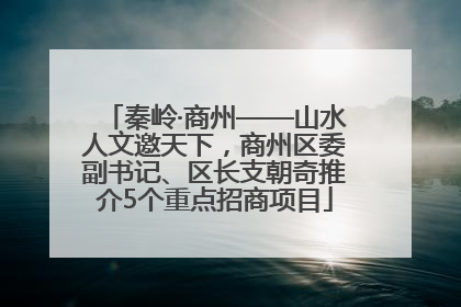 秦岭·商州——山水人文邀天下，商州区委副书记、区长支朝奇推介5个重点招商项目