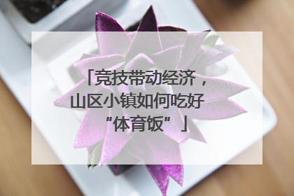 竞技带动经济，山区小镇如何吃好“体育饭”